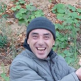 �����, ����, 54 ����