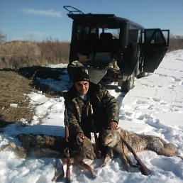 ���� Shiraz, ������, 51 ��� - ��������� 28 ������� 2023