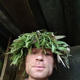 ����, �����������, 38 ���