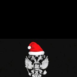 ���� ������, �����������, 41 ��� - ��������� 15 �������� 2023