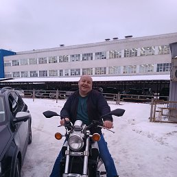 ������, ������, 41 ���