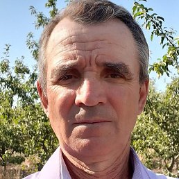 ����, �������, 69 ���