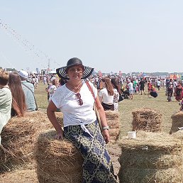 ����, ���������, 66 ���