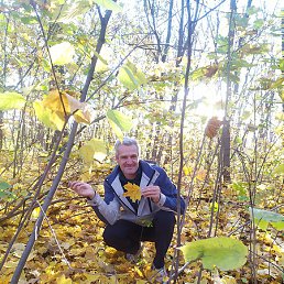 �������, ����������, 48 ���