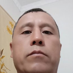 ����, �����, 37 ���