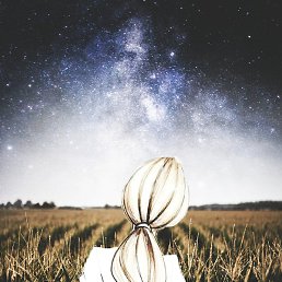 ����������, �������, 36 ���