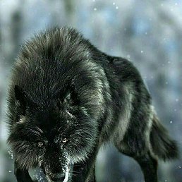 ����, �������, 28 ���