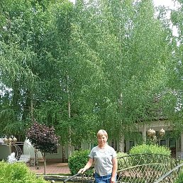 �����, ������, 38 ���