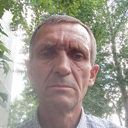 ������, ��������, 37 ���