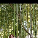 ���� �������, ����������������, 48 ��� - ��������� 19 ������ 2023