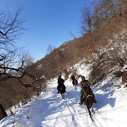  Gio, , 36  -  19  2023