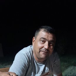 , 40, 