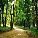 ���� Frantovik, ��������, 25 ��� - ��������� 10 ������� 2023 � ������ ���� ����������