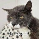 ���� ���������, �����-���������, 44 ���� - ��������� 13 ������� 2023 � ������ ���� ����������