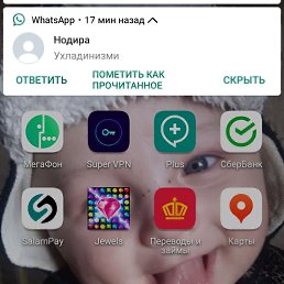 ���� �����, ������, 44 ���� - ��������� 9 ���� 2023