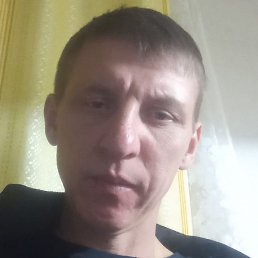 ����, ������, 41 ���