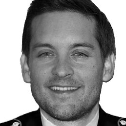 ������, �������, 37 ���