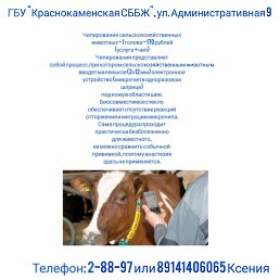 ���� ���������, ������, 69 ��� - ��������� 21 ���� 2023