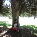 ���� ��������, ������������, 67 ��� - ��������� 10 ������ 2023 � ������ ���� ����������