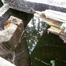 �����, ���������, 23 ����