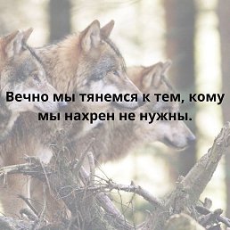 ���� �����, �������, 47 ��� - ��������� 23 ������� 2023