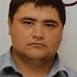 ��������, ���������, 33 ����