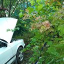 ���� ������, �����, 60 ��� - ��������� 16 ������� 2023 � ������ ���� ����������