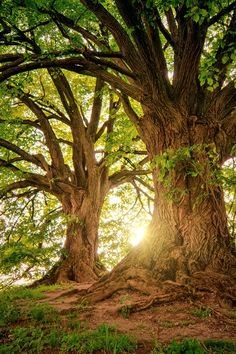 Есть люди, которые могут вызвать благотворные перемены в вашей жизни. Один писатель сказал: надо ...
