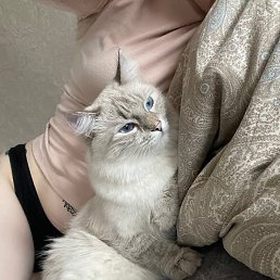 ��������, ������, 25 ���