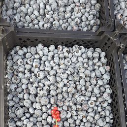 ���� ������, ������������, 30 ��� - ��������� 8 �������� 2023