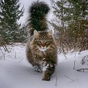 ���� �����, ������, 32 ���� - ��������� 10 ������� 2023 � ������ ������ ��������