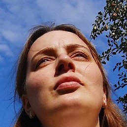 ���������, �����, 37 ���