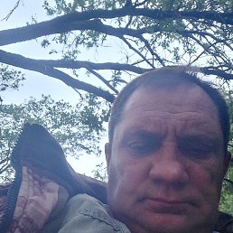 ������, ������, 55 ���