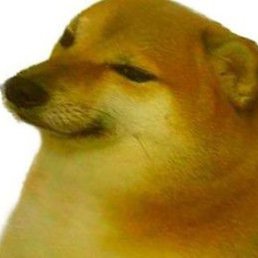 Olegus, �����-���������, 38 ���