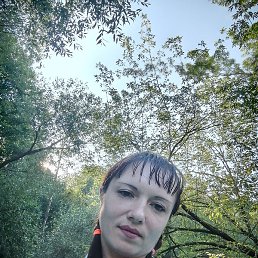 �������, ������, 36 ���