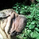  _A_n_g_e_l__,  -  15  2023    