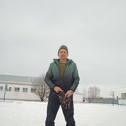 �������, �������, 43 ����