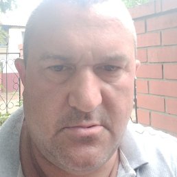 ������, ������, 41 ���