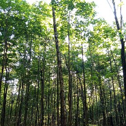  Karen, , 35  -  13  2023