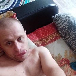 ����, �����-���������, 41 ���