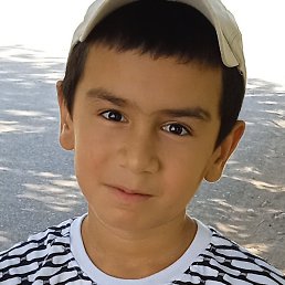 �����, �����-���������, 40 ���