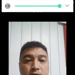 ���� �����, ���������, 43 ���� - ��������� 1 �������� 2023