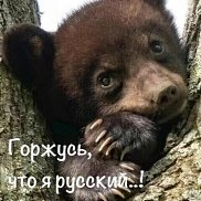 Виктория, 54 года, Санкт-Петербург Виктория, 54 года, Санкт-Петербург