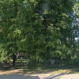 ���� ������, ���������, 40 ��� - ��������� 8 ��� 2023