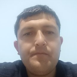 Voxid, �������, 36 ���