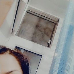 �����, ����, 37 ���