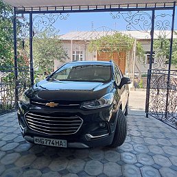 ����, �����, 37 ���