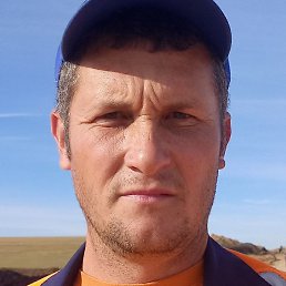 ����, ������, 41 ���