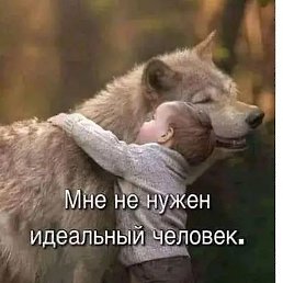 ������, �������, 41 ���