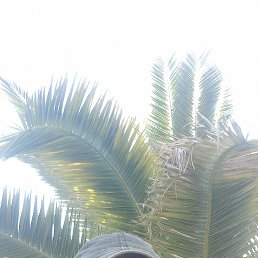 ���� ����, ����, 62 ���� - ��������� 22 ���� 2023